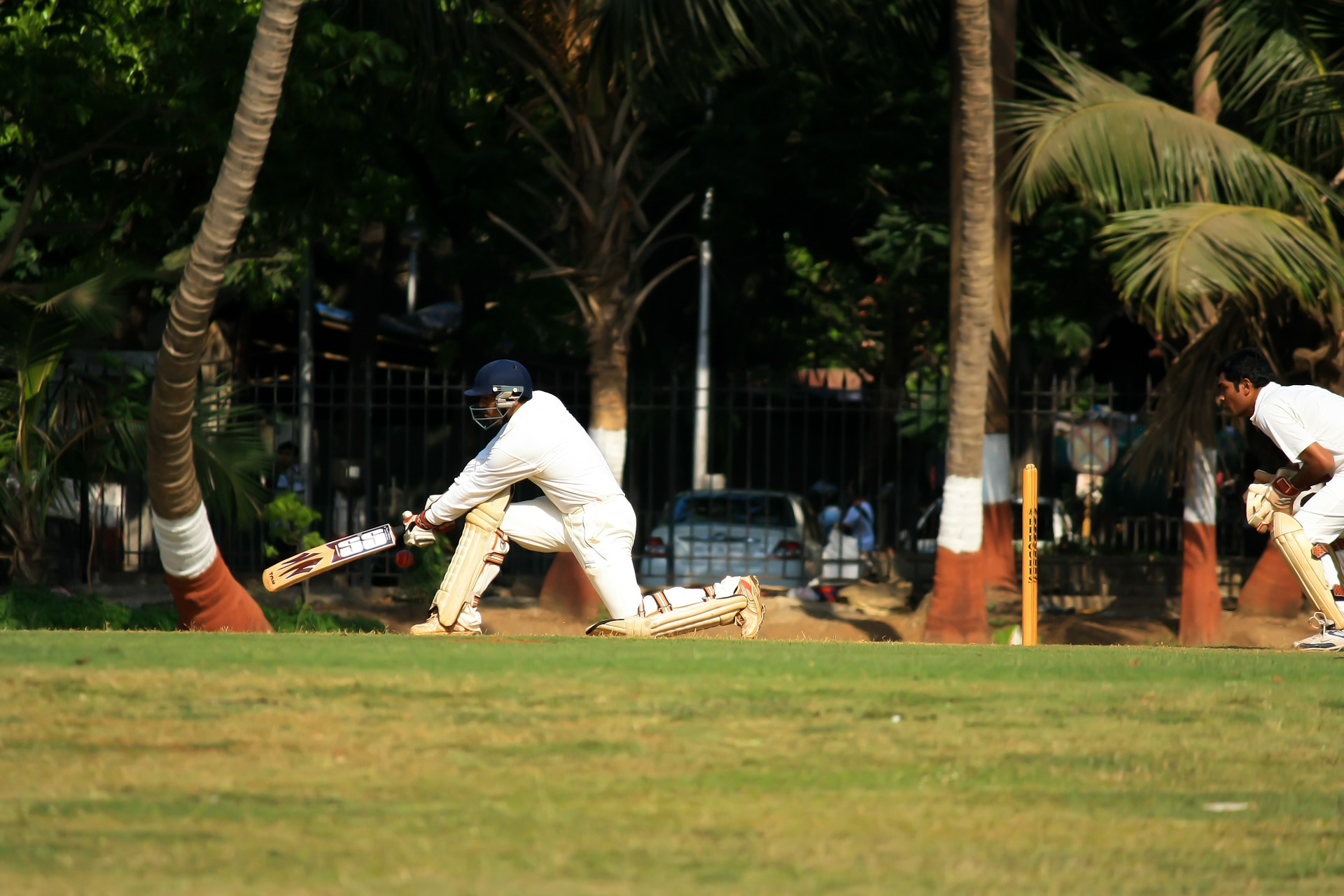 wicketkeeper-390621_1920